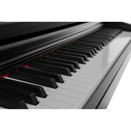 DP510 Black Gewa