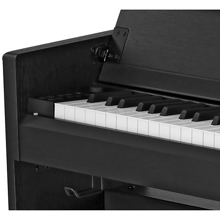 CP510 Black Gewa