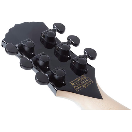 Schecter Barbarian Norse Dragon RawTop
