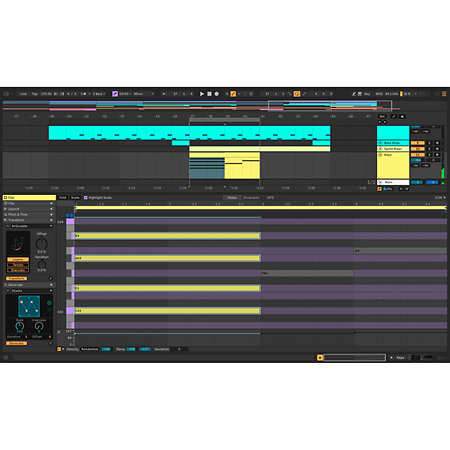 Live 12 Suite UPG depuis Live 1-11 Standard Ableton
