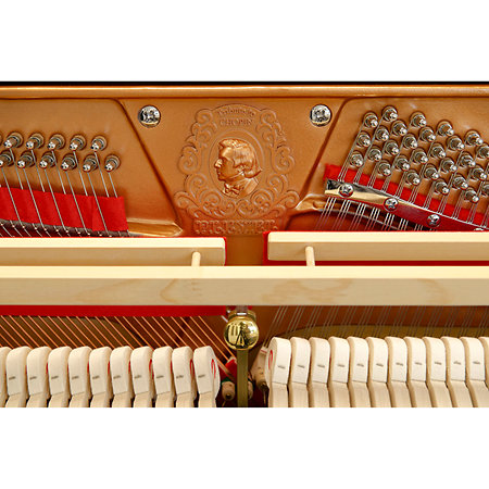 P123 Tribute Noir Pleyel