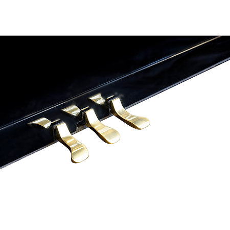 P123 Tribute Noir Pleyel