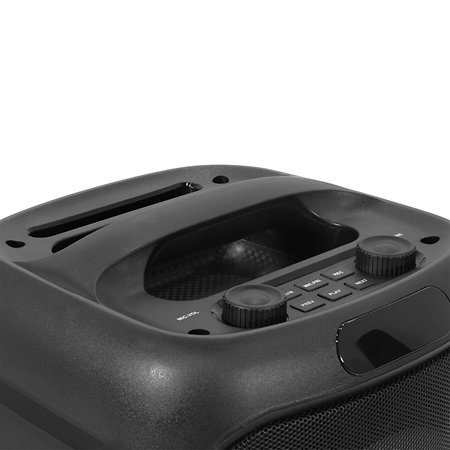 CUBE 200 + MIC10 BoomTone DJ