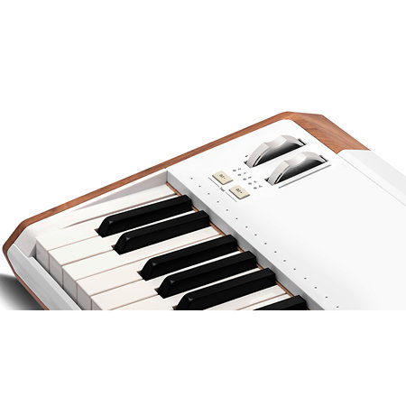 Pack AstroLab 61 White + Porte partition + Flight Case Arturia