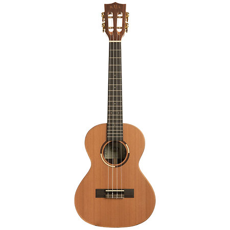 Solid Cedar Top Pau Ferro Tenor Étui Kala