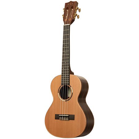 Solid Cedar Top Pau Ferro Tenor Étui Kala
