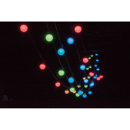 Festoonlight Q4 Controller + Câble 10 m Showtec