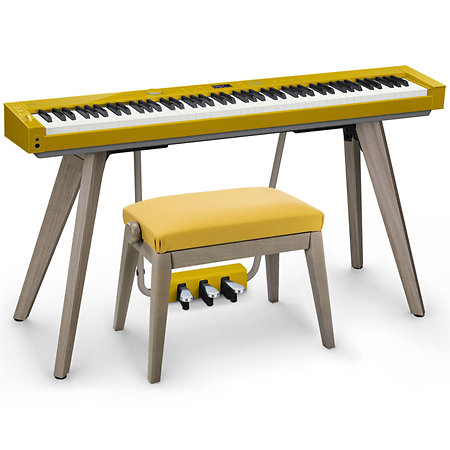 BG50-VINYL HM Casio
