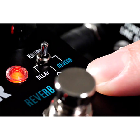 Source Audio SA264 Encounter Ambient Delay + Reverb