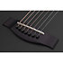 Orleans Stage 7 Acoustic Satin See Thru Black Schecter