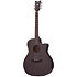Orleans Studio Acoustic Satin See Thru Black Schecter