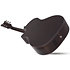 Orleans Studio Acoustic Satin See Thru Black Schecter