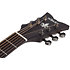 Orleans Studio Acoustic Satin See Thru Black Schecter