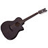 Orleans Studio-12 Acoustic Satin See Thru Black Schecter