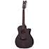 Orleans Studio-12 Acoustic Satin See Thru Black Schecter