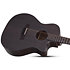 Orleans Studio-12 Acoustic Satin See Thru Black Schecter