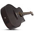 Orleans Studio-12 Acoustic Satin See Thru Black Schecter
