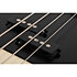 P4 Ivory Schecter