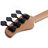 P4 Exotic Schecter