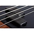 P4 Exotic Schecter