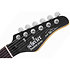 Pete Dee Signature Black Schecter