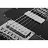 PT EX Dorian Gray Schecter