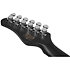 PT EX Dorian Gray Schecter