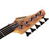 Reaper-5 Natural Satin Schecter