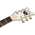 Robin Zander Corsair White Schecter