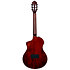 Tourplayer Std Ny Nat Ortega