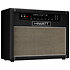 DR504 Combo 2x12 Fane Purpleblack Hiwatt
