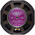 DR504 Combo 2x12 Fane Purpleblack Hiwatt