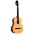RST5 Epicea Naturel Ortega