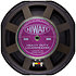 Studio Stage 20/40 Combo 1x12 Purpleblack 150 Hiwatt