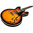 Hollowbody Fusion Sunburst EKO