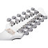 Stargazer-12 Gloss White LH Schecter