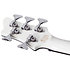 Stargazer-5 Gloss White Schecter