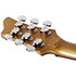 Stargazer-6 Vibrato Metallic Gold Schecter