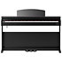 DP510 Black Gewa