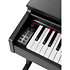 DP510 Black Gewa