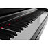 DP510 Black Gewa