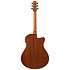 AAM50LCE-OLB Light Brown Sunburst Ibanez