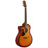 AAM50LCE-OLB Light Brown Sunburst Ibanez