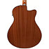 AAM50LCE-OLB Light Brown Sunburst Ibanez
