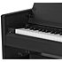CP510 Black Gewa