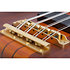 Stiletto Studio 8 Honey Satin Schecter