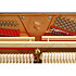 P123 Tribute Noir Pleyel