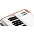 Pack AstroLab 61 White + Porte partition Arturia