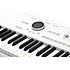 Pack AstroLab 61 White + Porte partition Arturia