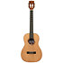 Solid Cedar Top Pau Ferro Bariton Étui Kala